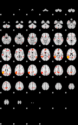 Patient:58;component:142