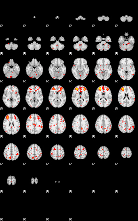 Patient:58;component:146