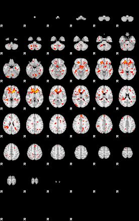 Patient:58;component:153