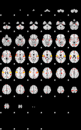 Patient:58;component:156