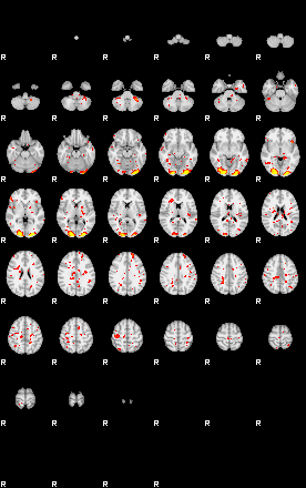 Patient:58;component:172