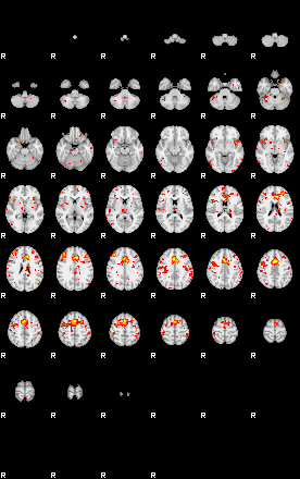 Patient:58;component:194