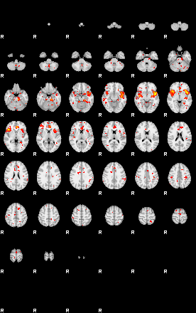 Patient:58;component:195