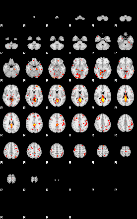 Patient:58;component:5