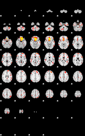 Patient:59;component:113