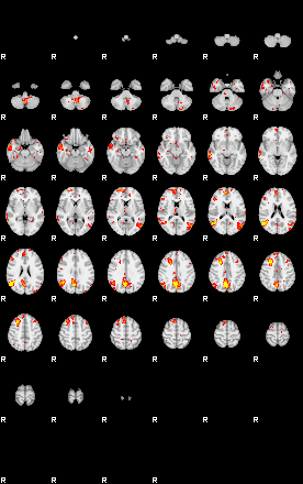 Patient:59;component:142