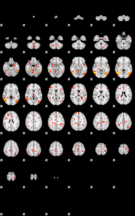 Patient:59;component:162