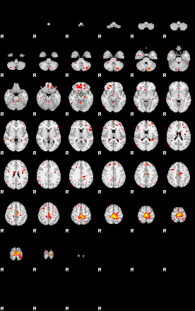 Patient:59;component:166