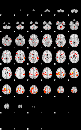 Patient:59;component:178