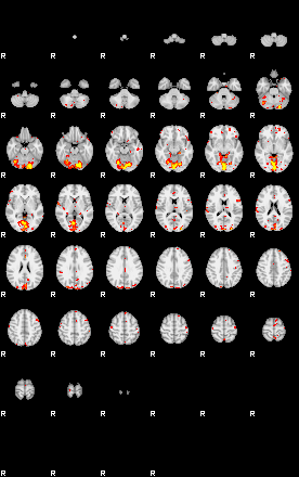 Patient:59;component:78