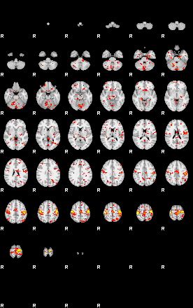 Patient:60;component:101