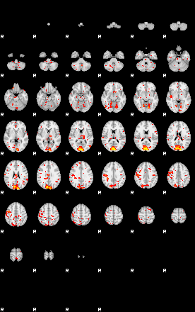 Patient:60;component:102