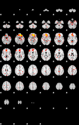 Patient:60;component:113