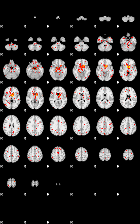 Patient:60;component:179