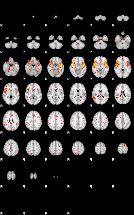 Patient:60;component:195