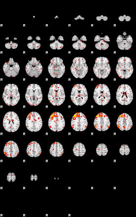 Patient:60;component:25