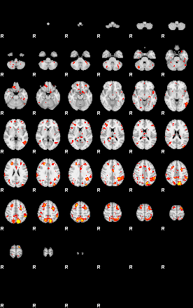 Patient:61;component:110