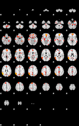 Patient:61;component:142