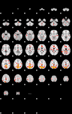 Patient:61;component:157