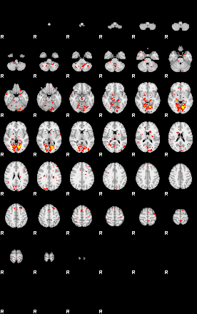 Patient:61;component:181