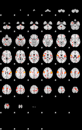 Patient:61;component:96