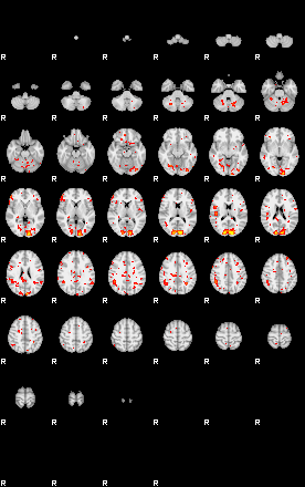 Patient:62;component:102