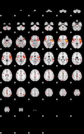 Patient:62;component:195