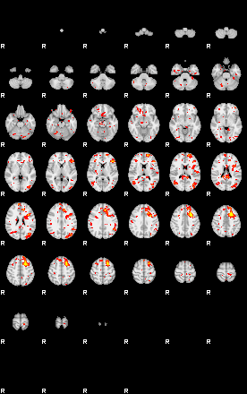 Patient:62;component:23