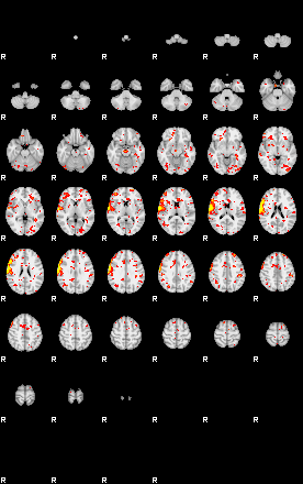 Patient:62;component:96