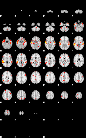 Patient:63;component:120