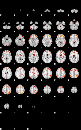 Patient:63;component:149