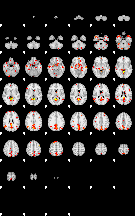 Patient:63;component:8