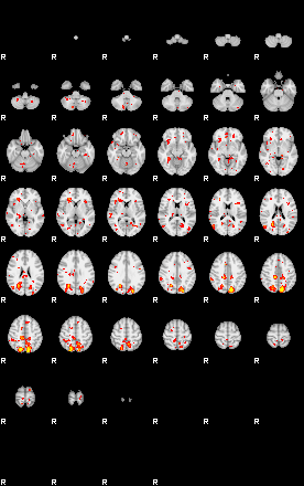 Patient:64;component:15