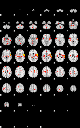 Patient:64;component:156