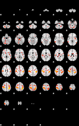 Patient:64;component:178