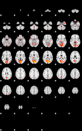 Patient:64;component:53