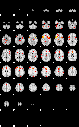 Patient:64;component:81