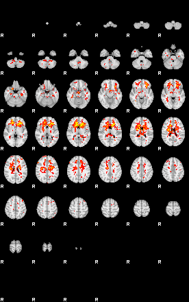 Patient:65;component:112