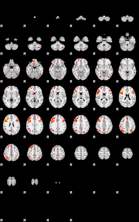 Patient:65;component:119