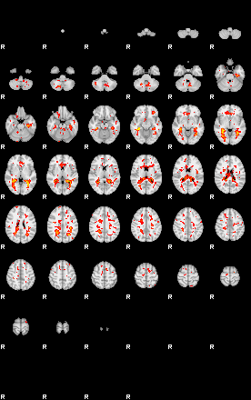 Patient:65;component:121