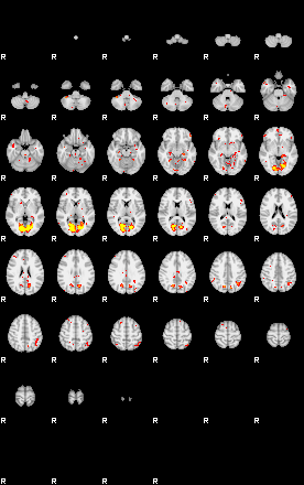 Patient:65;component:181