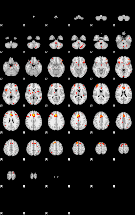 Patient:65;component:81