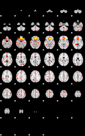 Patient:66;component:113