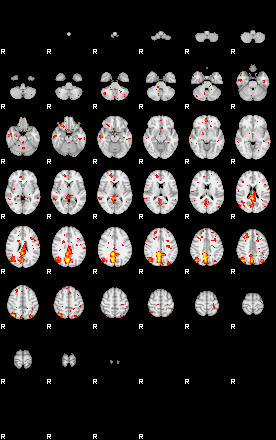 Patient:66;component:118