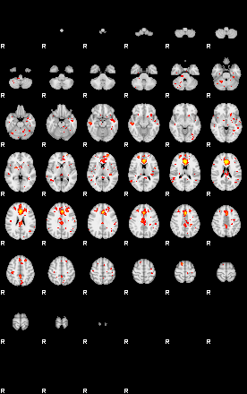 Patient:66;component:125