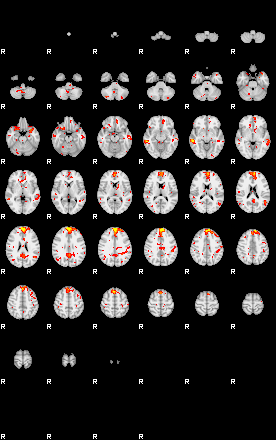 Patient:66;component:155