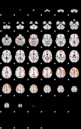 Patient:66;component:21