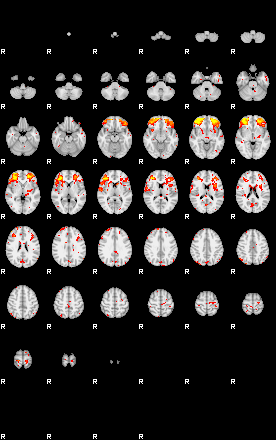 Patient:66;component:48