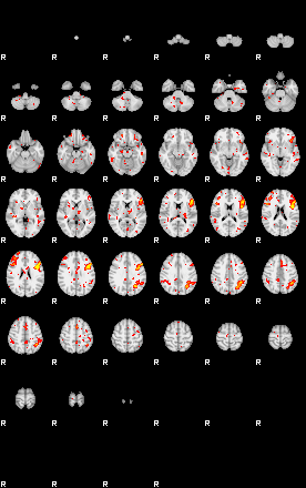 Patient:67;component:109