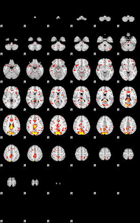 Patient:67;component:118